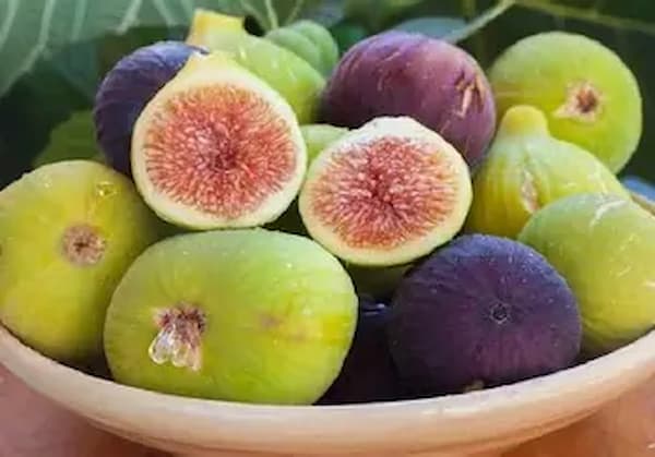 تصویر 3 از قیمت خرید انجیر دو رنگ با فروش عمده